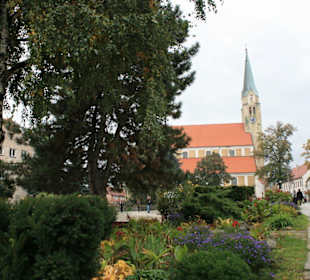 Blick zur Kirche, herrliche Bepflanzung 