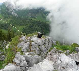 Blick vom Jennergipfel