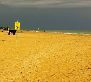 Freier Strandbereich ohne Hund