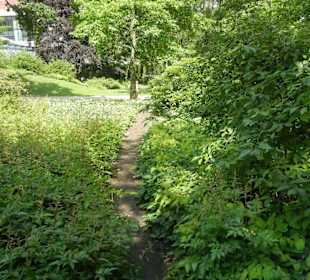 Parkanlage Planten un Blomen