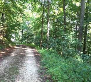 Premiumwanderweg "hochgesprudelt"