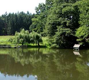 Panoramasicht auf den unteren Teich