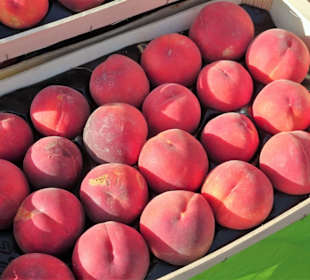 Impressionen vom Marché Cassanyes