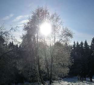 Umgebung in direkter Nähe