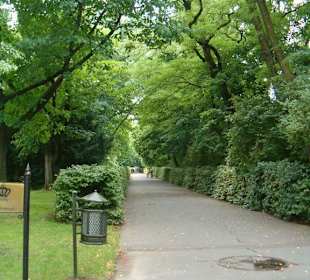 Alejka w parku lazienkowskim