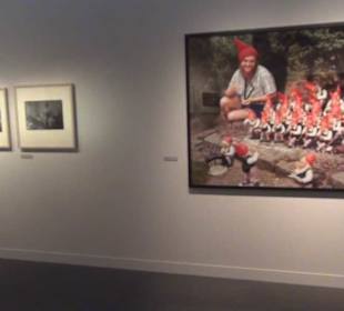 Zeitgeschichtliches Forum 