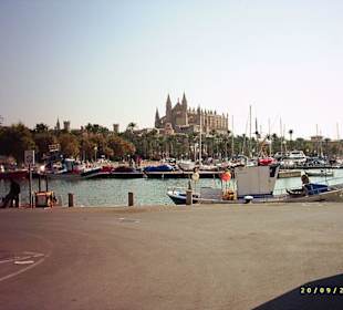 Hafen von Palma
