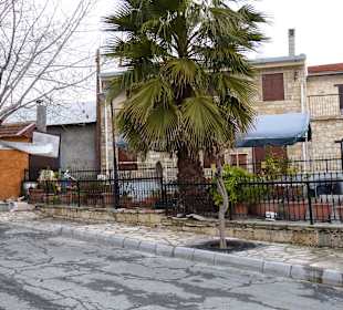 Ausflug in das Toodos Gebirge
