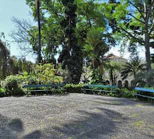 Impressionen aus dem Stadtpark von Funchal