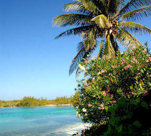 Jednodniowa wycieczka Cayo Largo 