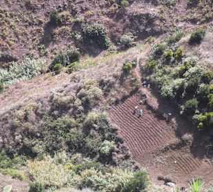 Ackerland im Gebirge