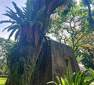 Fort Canning Park
