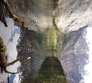 Obersee