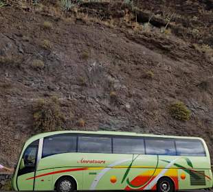Busreise in La Gomera