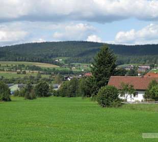 Ausblick
