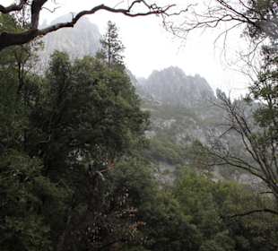 Yosemite Nationalpark