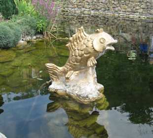 Кастальская купель