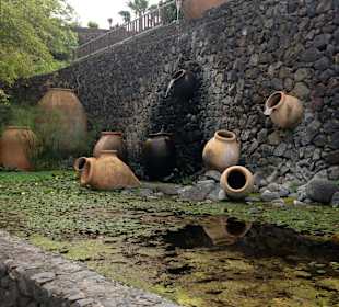 Jardin Aquatico