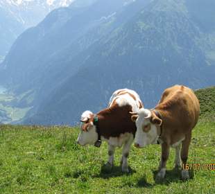 Wanderung auf dem Penken