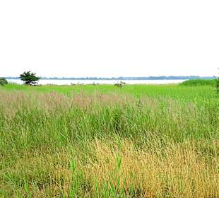 Wanderung Halbinsel Gnitz