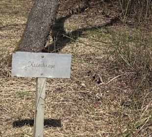 Premiumwanderweg "hochgeblickt"