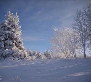 Impressionen Dezember 2012