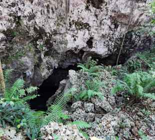 Ausflug zum National Park Los Tres Ojos mit Andy