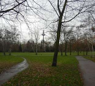 Grüneburgpark