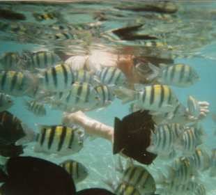 Sharm el Naga