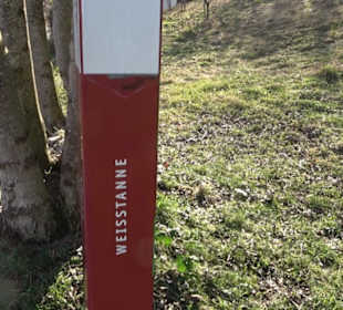 Wanderung Florianrunde