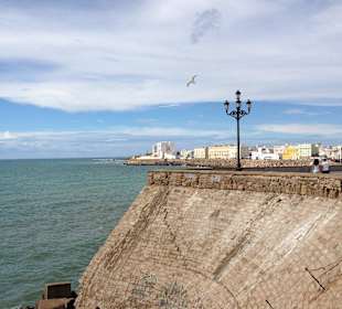 Cadiz