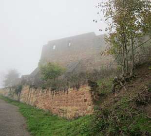Auf dem Weg zur Wolfsburg