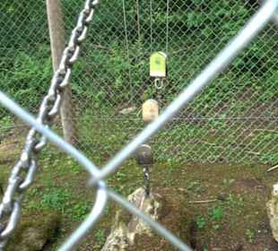 Phäno-Pfad Aichstetten