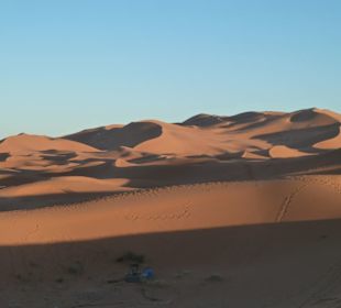 Abendsonne in den Dünen