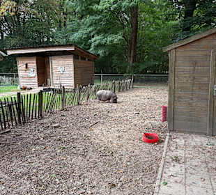 Steinerbos Belevenispark