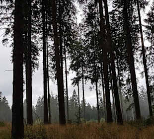 Wandern Schmallenberg