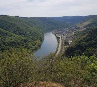 Moselblick