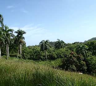 Reitausflug  – Oktober 2014