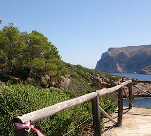 Dracheninsel/Dragonera