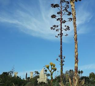 Kakteengarten am Skulpturenpark