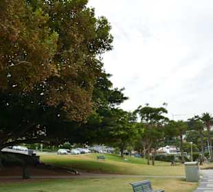 Balmoral Beach 
