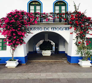 Puerto de Mogan