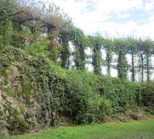 Forte di fuentes