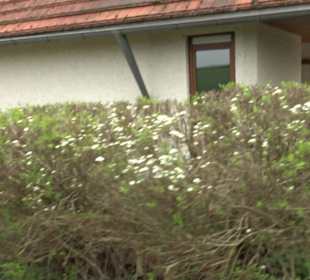 Friedhof Suppingen