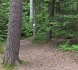 Hochseilgarten Hallwangen