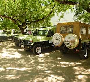 Ein Teil der Fahrzeugflotte von DM Tours