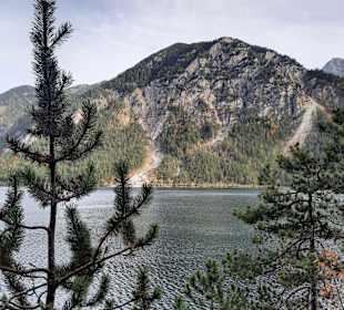 Plansee
