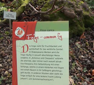 Kanarenschauhaus - Berggarten