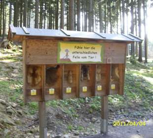 Station aud dem Waldwipfelweg