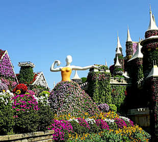 Miracle Garden